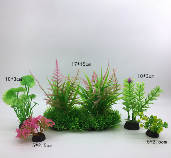 Taimed akvaariumi kaunistamiseks