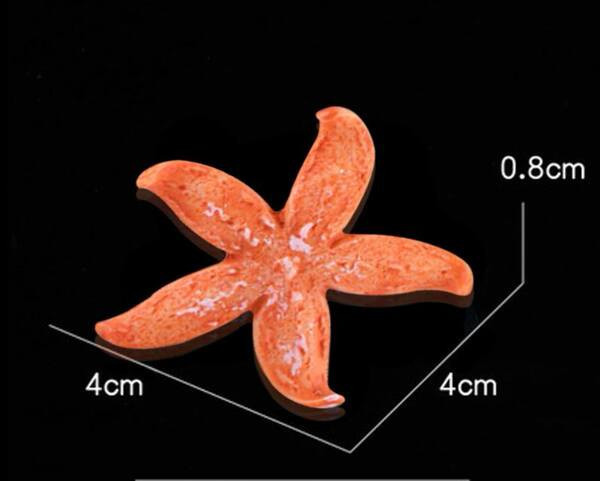 Stele de mare decorative in diferite modele pentru acvariu