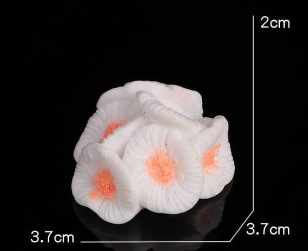 Stele de mare decorative in diferite modele pentru acvariu