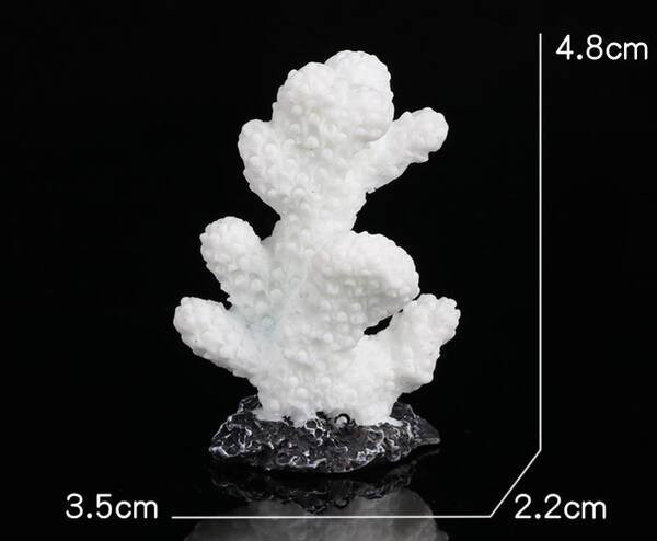 Stele de mare decorative in diferite modele pentru acvariu