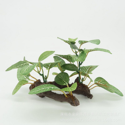 Διακοσμητικό φυτό για ενυδρείο - πολλά μοντέλα