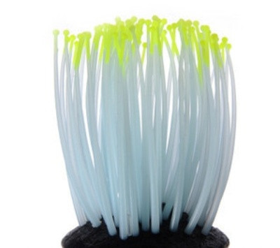 Meduze strălucitoare pentru acvariu