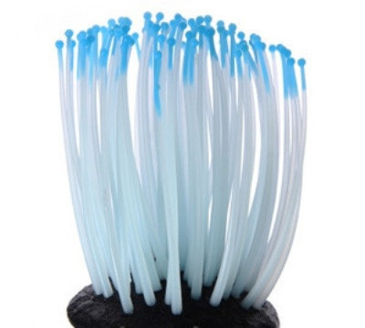 Meduze strălucitoare pentru acvariu