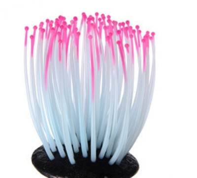 Meduze strălucitoare pentru acvariu