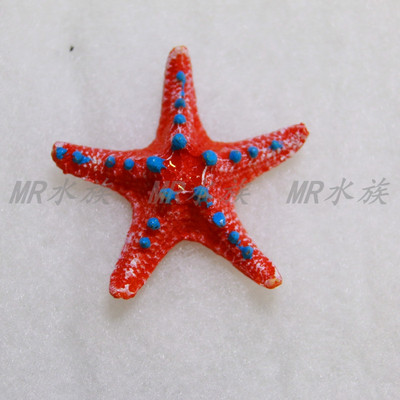 Διακόσμηση ενυδρείου σε σχήμα αστερίας