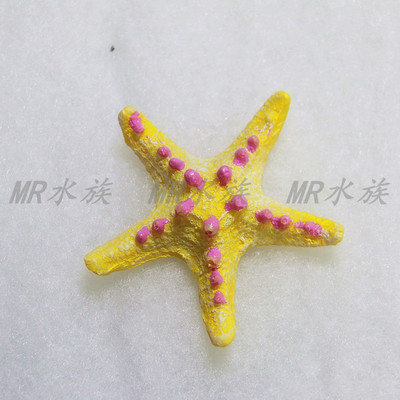 Διακόσμηση ενυδρείου σε σχήμα αστερίας