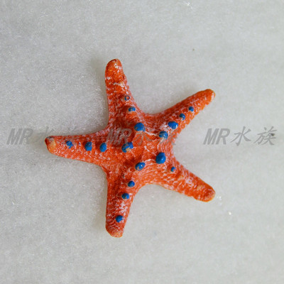 Διακόσμηση ενυδρείου σε σχήμα αστερίας