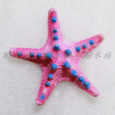 Διακόσμηση ενυδρείου σε σχήμα αστερίας