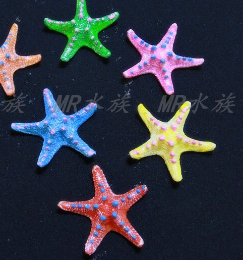 Διακόσμηση ενυδρείου σε σχήμα αστερίας