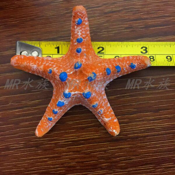 Διακόσμηση ενυδρείου σε σχήμα αστερίας