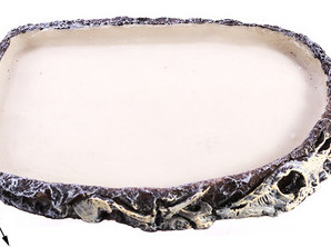 Decor rotund pentru acvariu