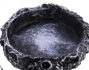 Decor rotund pentru acvariu