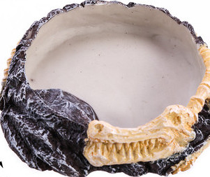 Decor rotund pentru acvariu