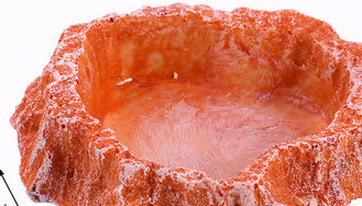 Decor rotund pentru acvariu