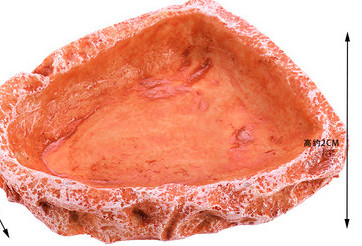 Decor rotund pentru acvariu