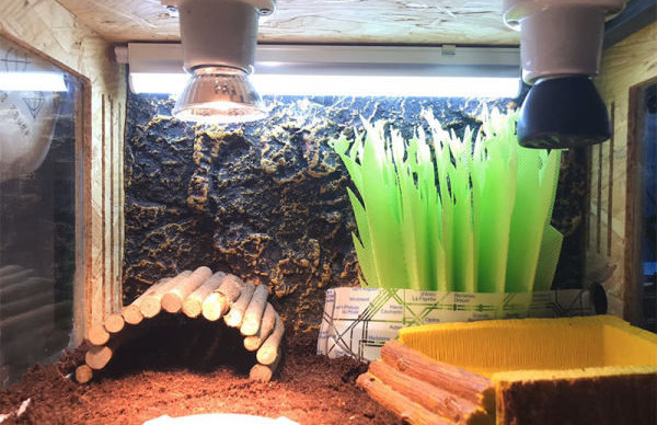 Perete decorativ imitand o roca pentru un acvariu