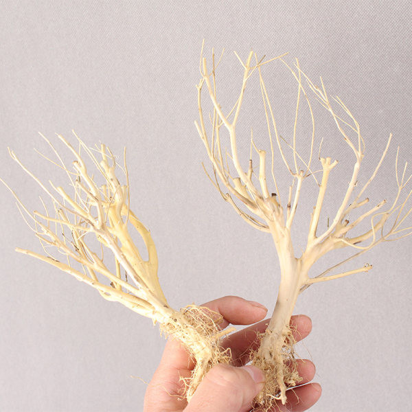 Mākslīgā dekorācija akvārijam