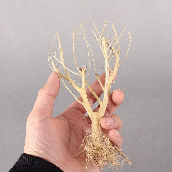 Mākslīgā dekorācija akvārijam