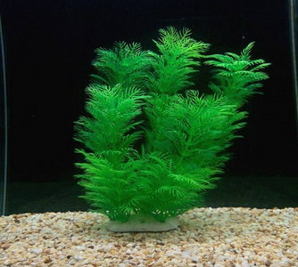 Kunstlik taim akvaariumi jaoks