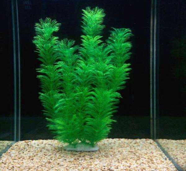 Kunstlik taim akvaariumi jaoks