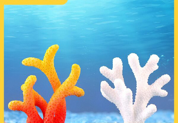 Akvaariumi värviline kaunistus - korall