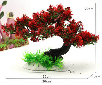 Καλλωπιστικά φυτά για το ενυδρείο