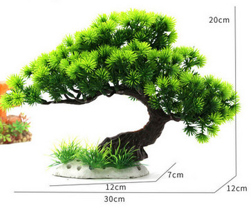 Καλλωπιστικά φυτά για το ενυδρείο