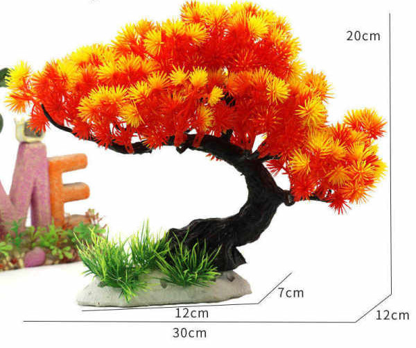 Καλλωπιστικά φυτά για το ενυδρείο