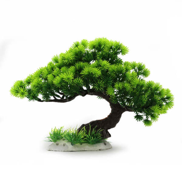 Καλλωπιστικά φυτά για το ενυδρείο