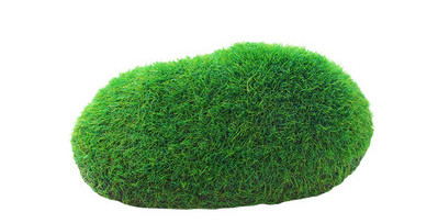 Vesimuru kaunistus akvaariumi