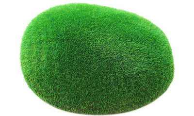 Vesimuru kaunistus akvaariumi