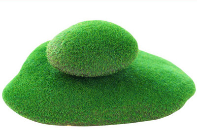 Vesimuru kaunistus akvaariumi