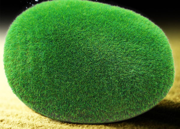 Vesimuru kaunistus akvaariumi