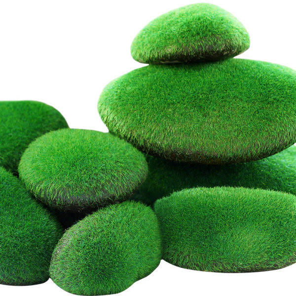 Vesimuru kaunistus akvaariumi