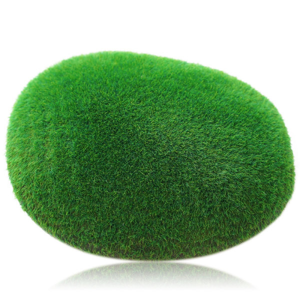 Vesimuru kaunistus akvaariumi