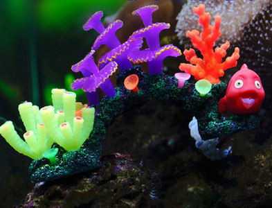 Decorarea acvariului - mai multe modele