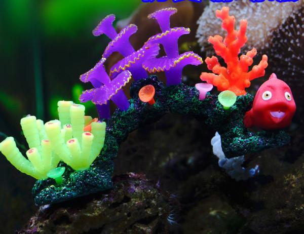 Decorarea acvariului - mai multe modele