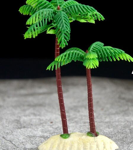 Dekoratīvs augs akvārijam - dažādi modeļi