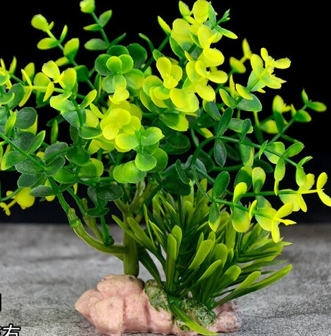 Dekoratīvs augs akvārijam - dažādi modeļi