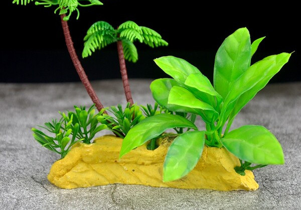 Dekoratīvs augs akvārijam - dažādi modeļi