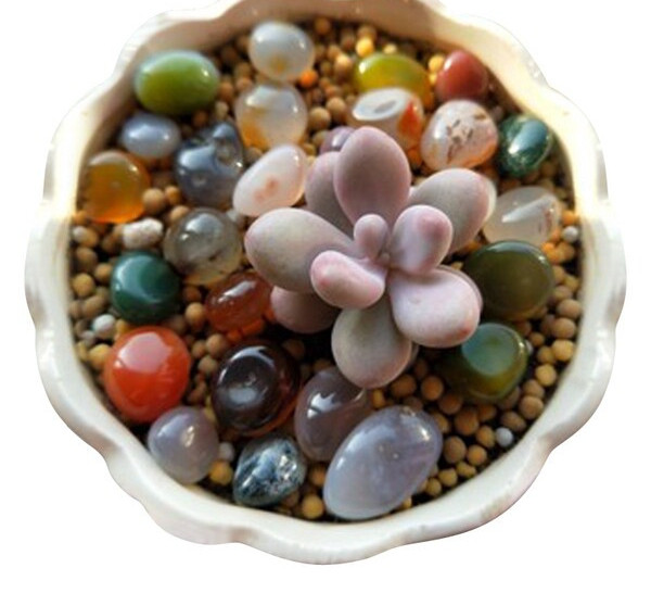 Spalvoti akmenukai akvariumo dekoravimui