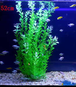 Iarba de decor pentru acvariu