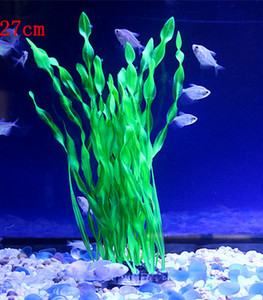 Iarba de decor pentru acvariu