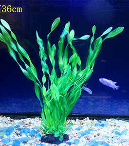 Iarba de decor pentru acvariu