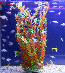 Iarba de decor pentru acvariu