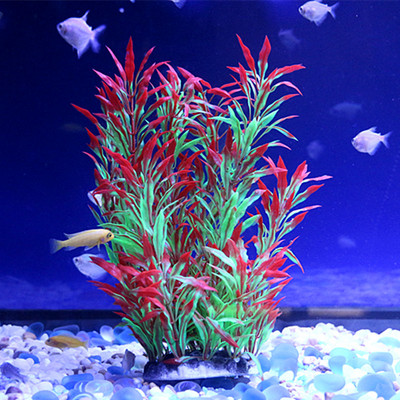 Iarba de decor pentru acvariu