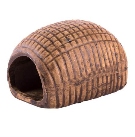 Decorarea acvariului - diferite modele