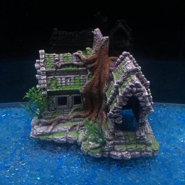 Akvariumo apdaila - namelis įvairių modelių