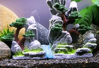 Akvaariumi kaunistus - kivid