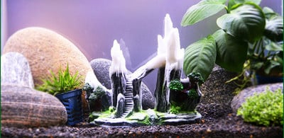 Akvaariumi kaunistus - kivid
